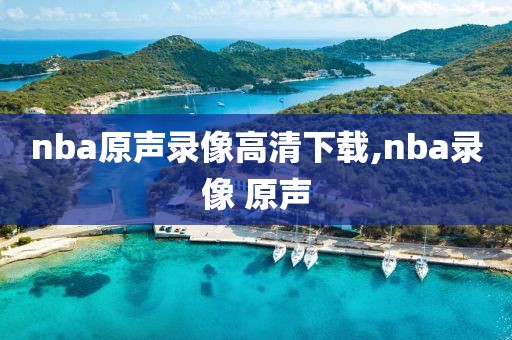 nba原声录像高清下载,nba录像 原声