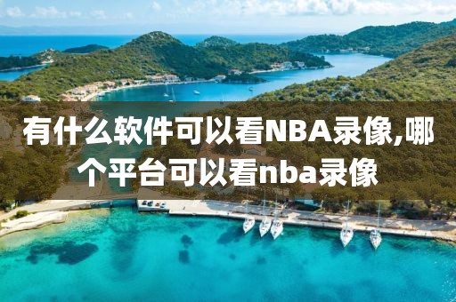 有什么软件可以看NBA录像,哪个平台可以看nba录像