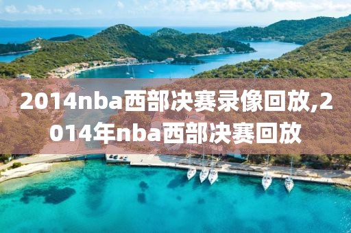 2014nba西部决赛录像回放,2014年nba西部决赛回放