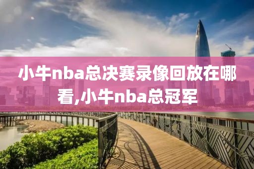 小牛nba总决赛录像回放在哪看,小牛nba总冠军