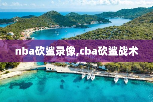 nba砍鲨录像,cba砍鲨战术