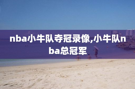 nba小牛队夺冠录像,小牛队nba总冠军