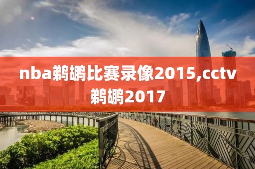 nba鹈鹕比赛录像2015,cctv鹈鹕2017