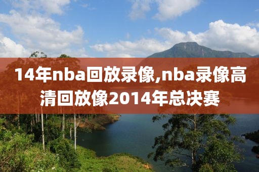 14年nba回放录像,nba录像高清回放像2014年总决赛
