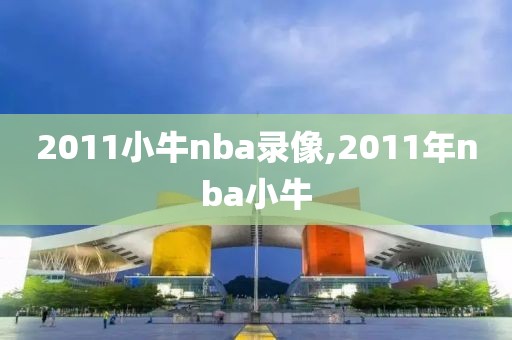 2011小牛nba录像,2011年nba小牛