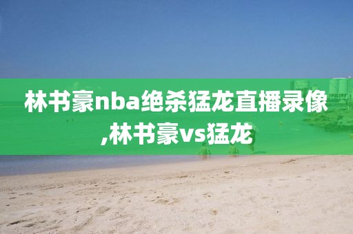 林书豪nba绝杀猛龙直播录像,林书豪vs猛龙