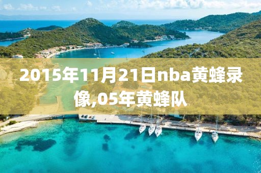 2015年11月21日nba黄蜂录像,05年黄蜂队