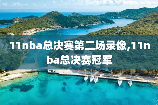 11nba总决赛第二场录像,11nba总决赛冠军