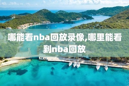 哪能看nba回放录像,哪里能看到nba回放