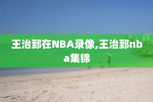 王治郅在NBA录像,王治郅nba集锦