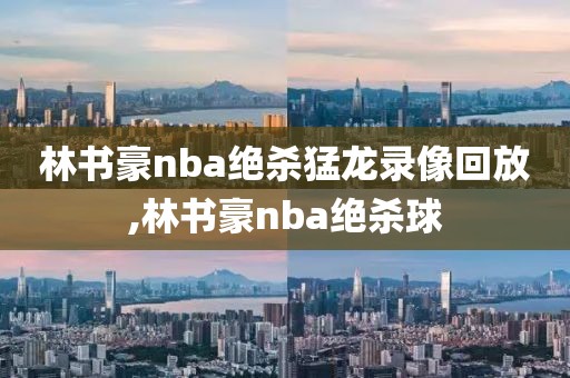 林书豪nba绝杀猛龙录像回放,林书豪nba绝杀球