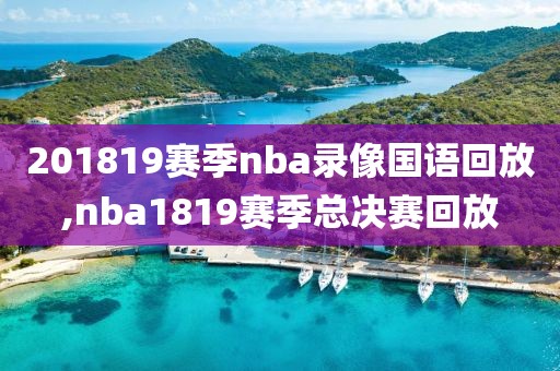 201819赛季nba录像国语回放,nba1819赛季总决赛回放