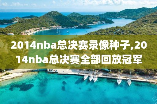 2014nba总决赛录像种子,2014nba总决赛全部回放冠军